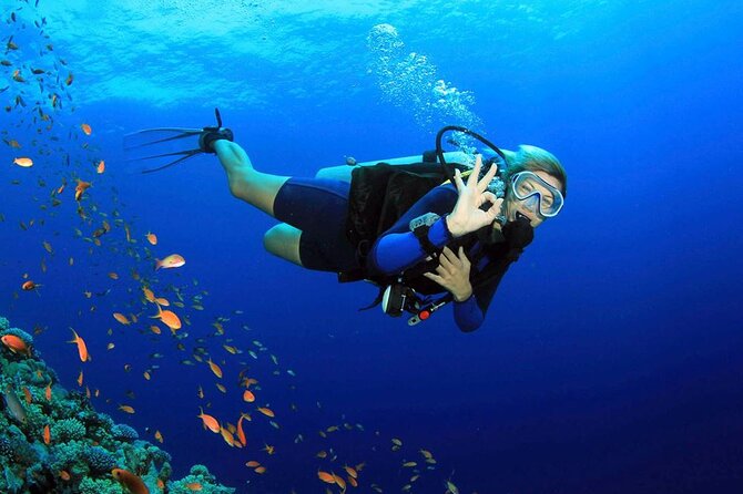 Fethiye Scuba Diving Experience By A Local Expert - Key points to know before booking