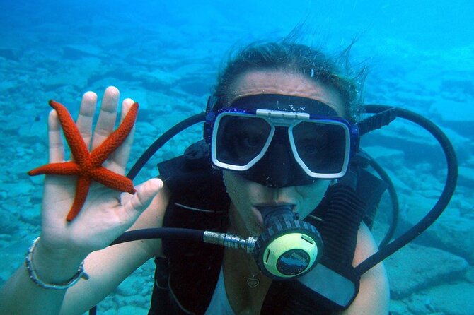 Fethiye Scuba Diving Experience By A Local Expert - Fethiye’s underwater world beyond the beach