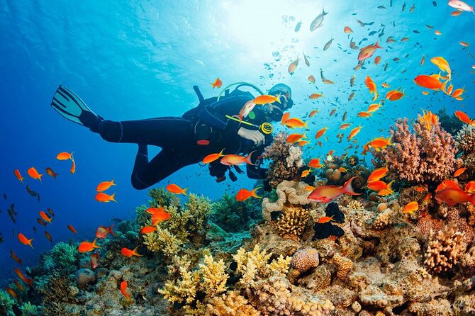 Fethiye Scuba Diving Experience By A Local Expert - Lunch, snacks, and the extras