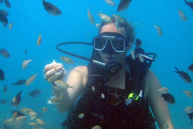 Fethiye Scuba Diving Experience By A Local Expert - Is the $100 price fair?