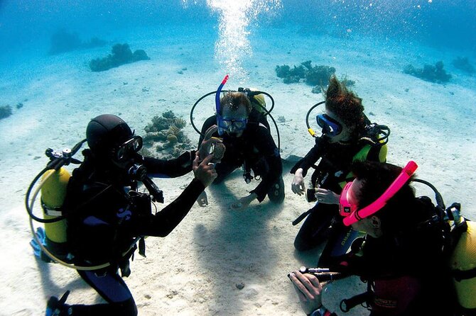 Fethiye Scuba Diving Experience By A Local Expert - The practical details that matter