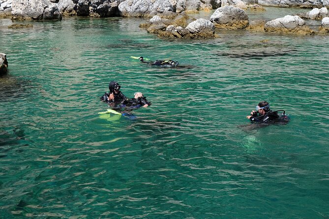 Fethiye Scuba Diving Experience - Fish, coral, and cave areas below the surface