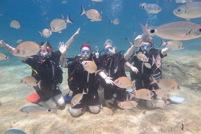 Fethiye Scuba Diving Trip with Mermaid Diving INCL Lunch-Transfer - Two bays make the day feel varied