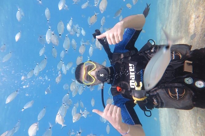 Fethiye Scuba Diving Trip with Mermaid Diving INCL Lunch-Transfer - The instructors make the biggest difference