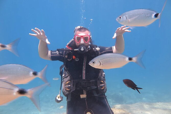 Fethiye Scuba Diving Trip with Mermaid Diving INCL Lunch-Transfer - Is $62.47 good value?