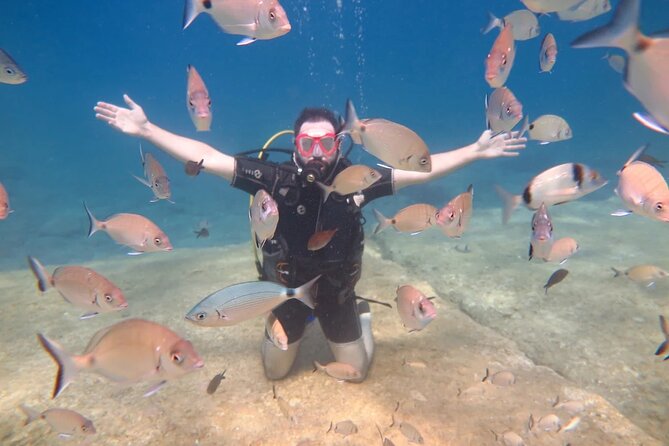 Fethiye Scuba Diving Trip with Mermaid Diving INCL Lunch-Transfer - Who will enjoy this Fethiye scuba trip?