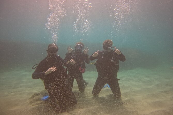 First Diving Experience Try Dive - Reefs and marine life around Sal