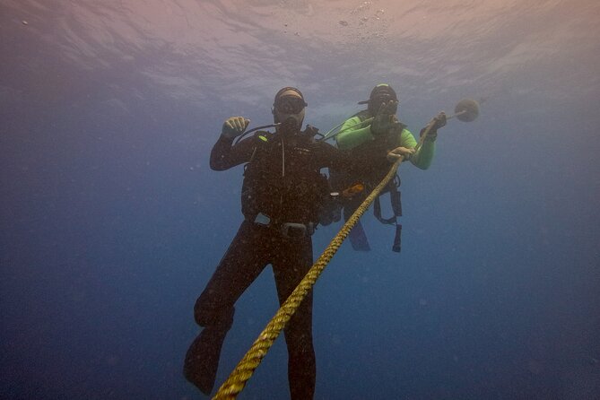 First Diving Experience Try Dive - Is $119.48 a fair price?