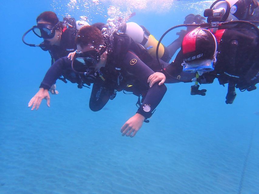 First Experience underwater. Try Scuba Diving - Should you book the Playa Las Vistas scuba session?