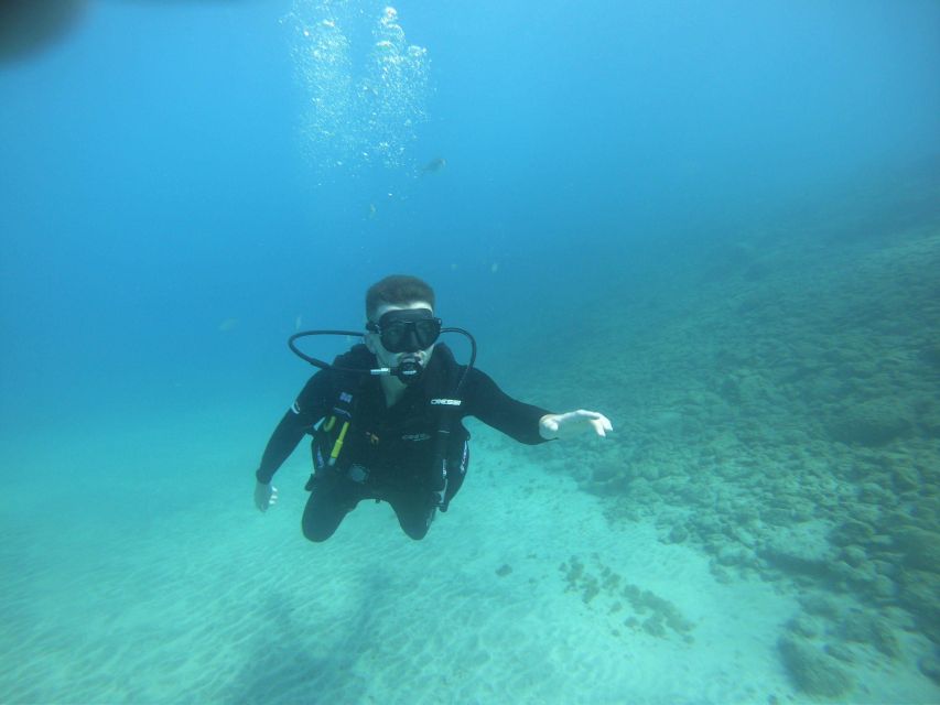 First Experience underwater. Try Scuba Diving - Meeting marine life beneath the surface