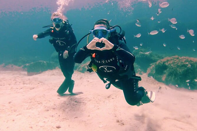 First scuba diving experience with instructor - Malta - Starting at DiveBase Malta in St. Paul’s Bay