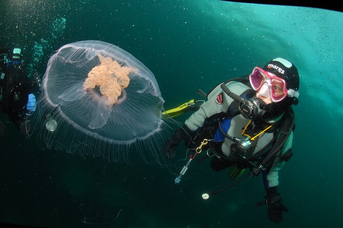 First Time Diver Scuba Experience - A first underwater session to 6 meters