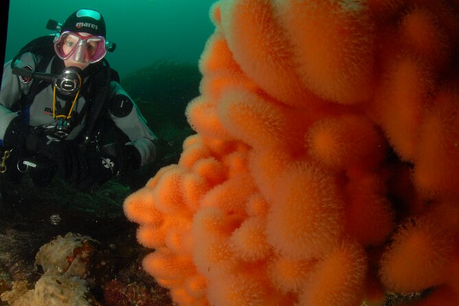 First Time Diver Scuba Experience - What is included for $213.82