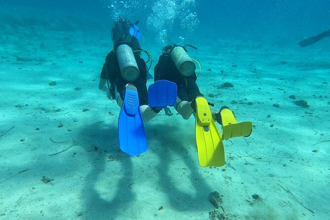 First Time Scuba Dive Adventure, Makronissos, Ayia Napa - Who will enjoy this most