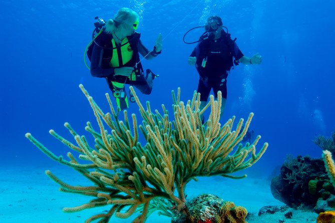 First Time Scuba Diving Experience in Punta Cana - What the $199 price really includes