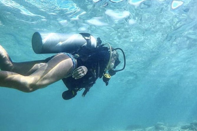 First-Time Scuba Diving in Honolulu + Free Videos - Timing, weather, and practical planning
