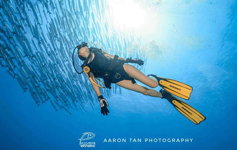 Fisheye Divers: Discover Scuba Diving - Starting in Boracay with a simple pickup