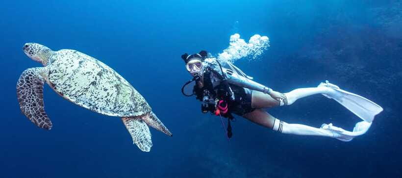 Fisheye Divers: Discover Scuba Diving - Taking the boat to a coral garden