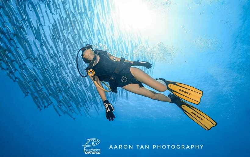 Fisheye Divers: Discover Scuba Diving - Is $126 a fair price?