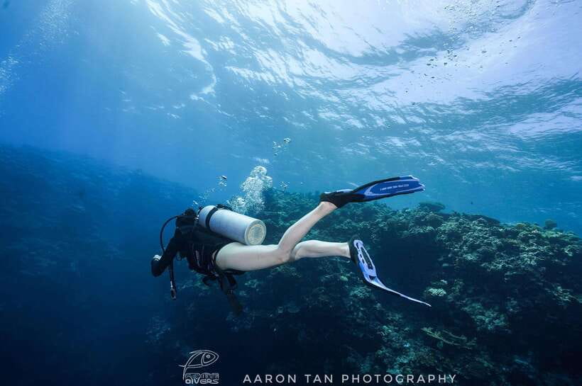 Fisheye Divers: Discover Scuba Diving - The classroom briefing and paperwork