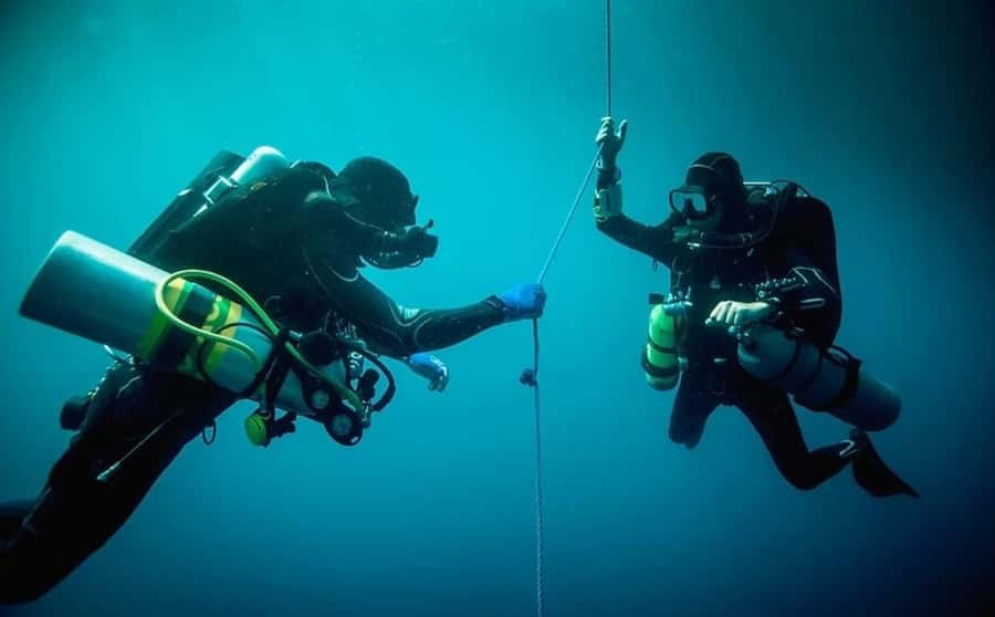 Florida Keys: Scuba Diving & Snorkeling Reef Trip - Choosing snorkeling, scuba, or a boat ride