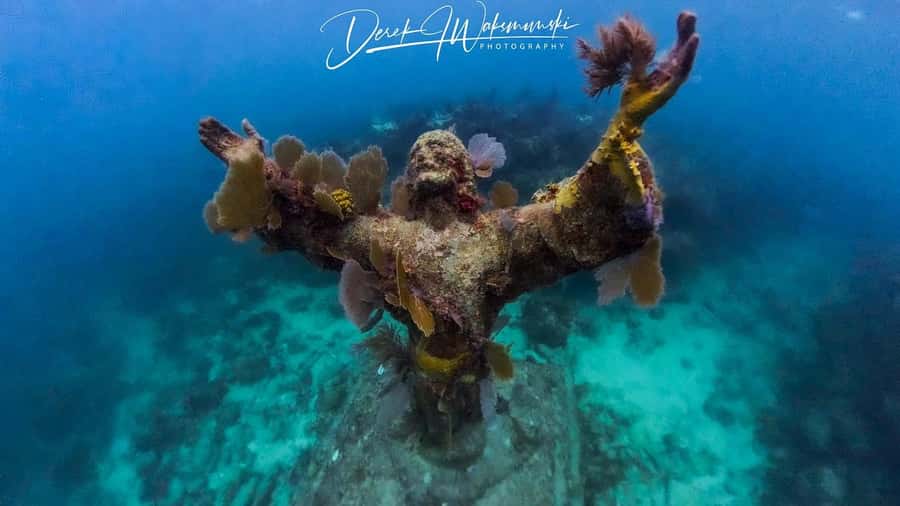 Florida Keys: Scuba Diving & Snorkeling Reef Trip - A realistic four-hour schedule