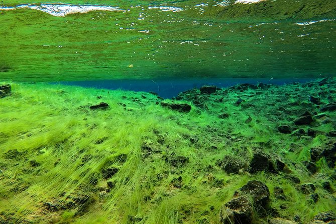 Freedive Silfra Half Day Tour - Why Silfra feels unlike an ordinary swim
