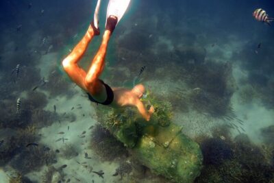 Freedive trip Koh Kood or Koh Rang National Park ( start at Ko Kut)