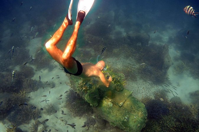 Freedive trip Koh Kood or Koh Rang National Park ( start at Ko Kut) - Lunch, drinks, and the practical value of the package