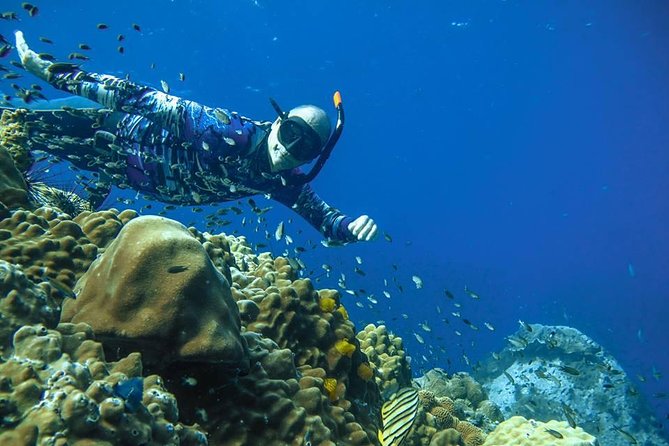 Freediver advanced (start at Koh Chang) - The two-day format gives your body time to adjust