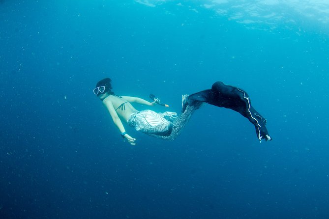 Freediver advanced (start at Koh Chang) - Instruction from Lars and the BB Divers team