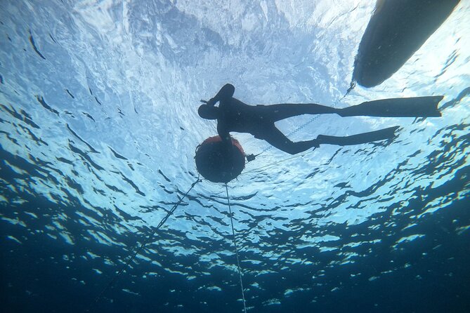 Freediving at Museum Atlantico - What makes Museo Atlántico different