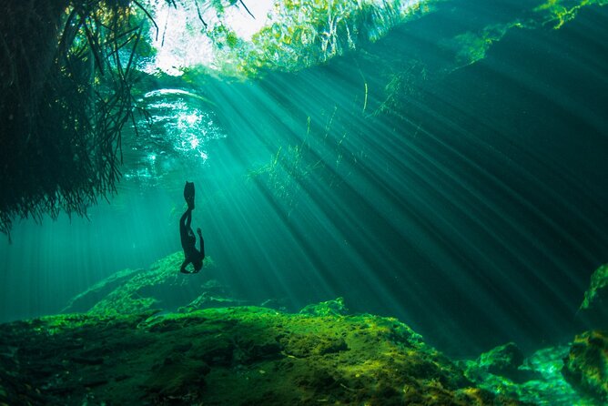 Freediving Intro for Beginners in a Cenote in Tulum Mexico - Swimming beneath mangroves at Casa Cenote