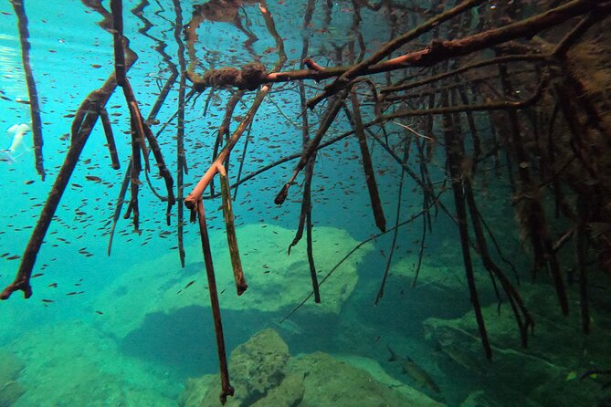 Freediving Intro for Beginners in a Cenote in Tulum Mexico - How long you actually spend in the water