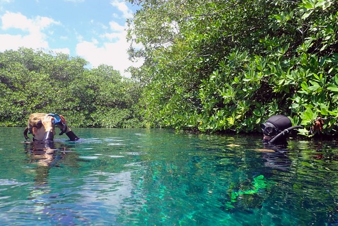 Freediving Intro for Beginners in a Cenote in Tulum Mexico - What the underwater videos add