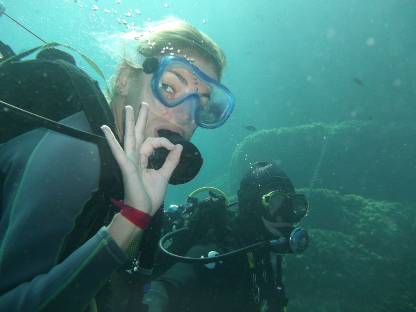 Fréjus: Diving Experience in Port-Fréjus with an Instructor - The 20-Minute Question and Overall Value