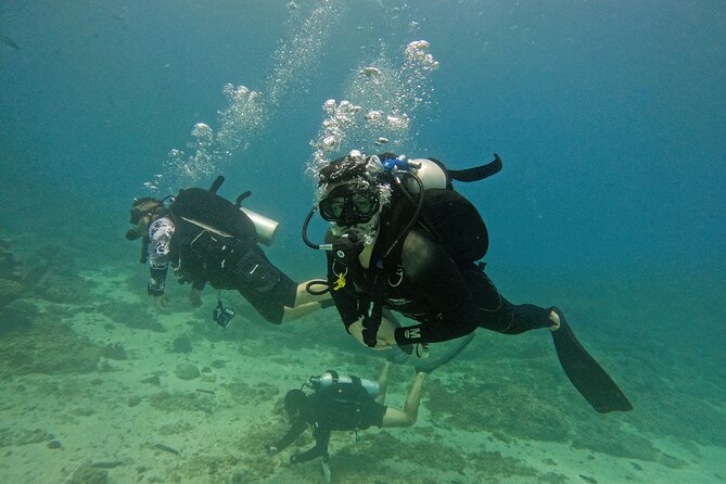From Abu Dhabi: 2 Dives for Certified Divers in Fujairah - Two underwater outings, one long East Coast day