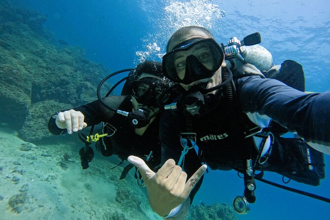 From Abu Dhabi: 2 Dives for Certified Divers in Fujairah - Who will enjoy this Fujairah experience