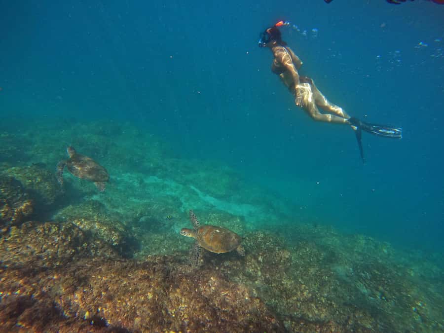 From Abu Dhabi: Scuba Dive and Snorkeling with BBQ, Transfer - Practical packing advice for the boat