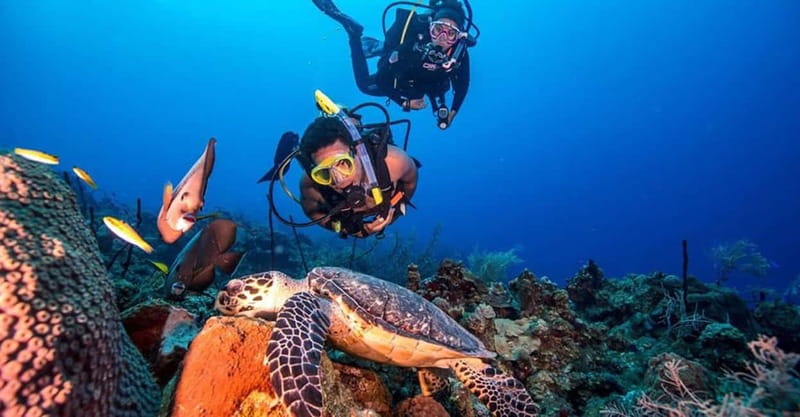 From Alanya: Scuba Diving Tour with Hotel Transfers - Key points to know before booking