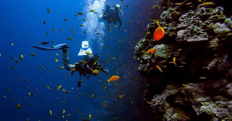From Alanya: Scuba Diving Tour with Hotel Transfers - What the eight-hour schedule really means