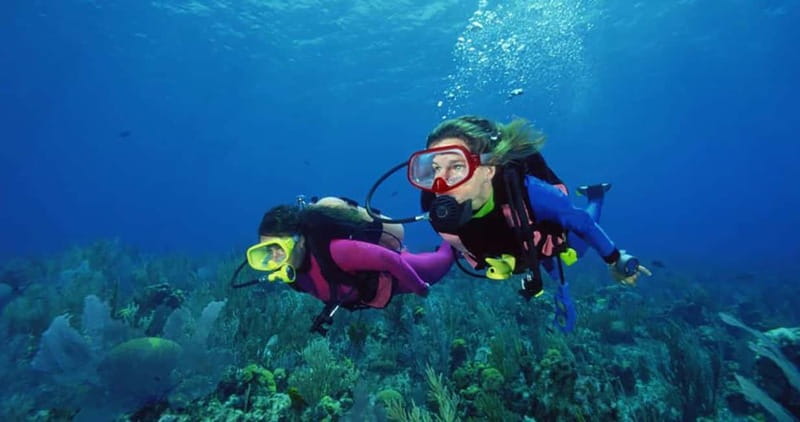 From Alanya: Scuba Diving Tour with Hotel Transfers - What beginners do before going below the surface