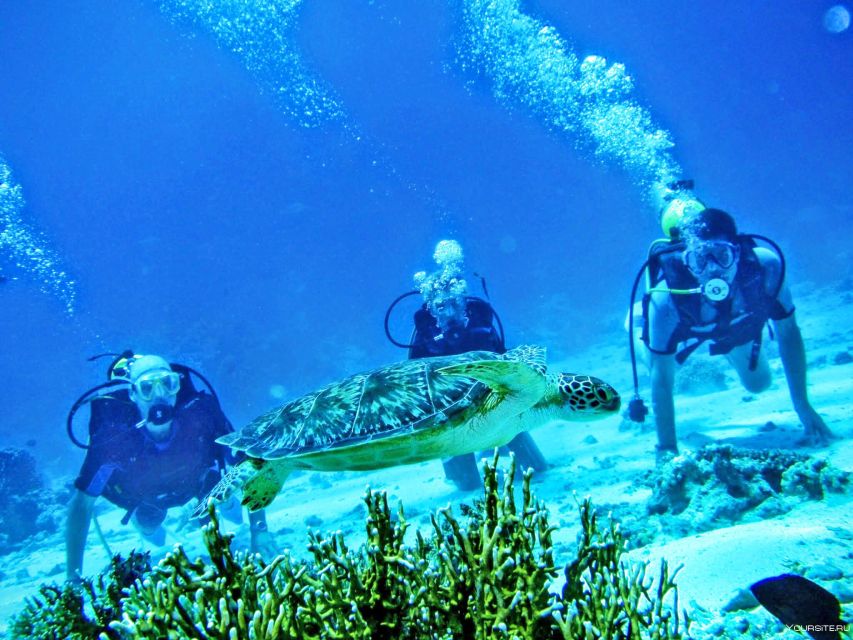 From Antalya| Kemer: Diving Tour with Experienced Instructor - Key points to know before booking
