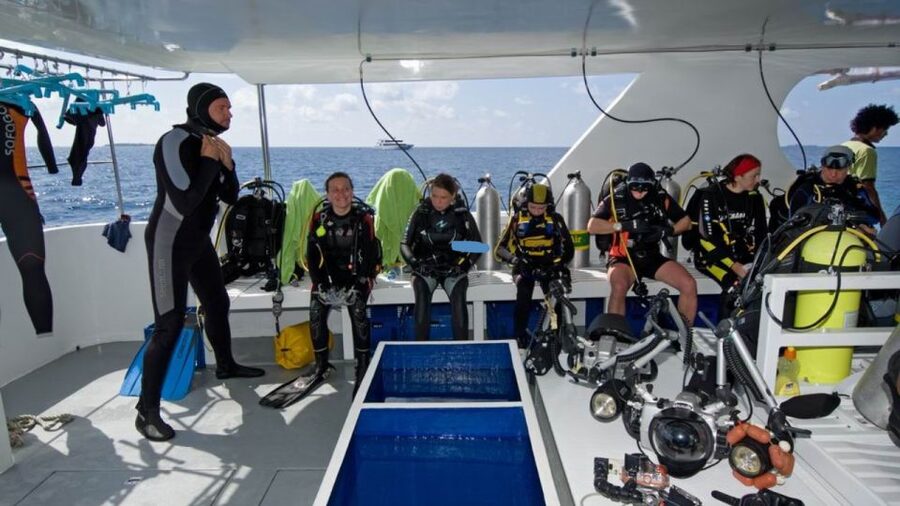 From Antalya| Kemer: Diving Tour with Experienced Instructor - What you may see beneath the Mediterranean