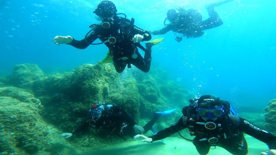 From Barcelona: Tossa de Mar Scuba Diving and 3-Course Meal - Key points to know before booking