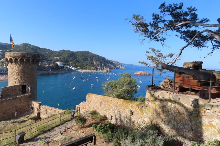 From Barcelona: Tossa de Mar Scuba Diving and 3-Course Meal - Seeing Mediterranean life below 8 meters
