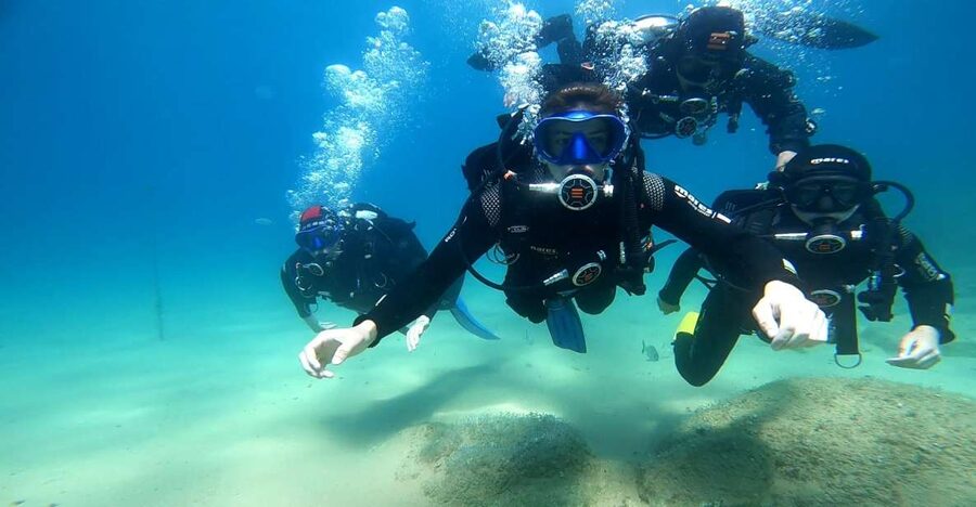 From Barcelona: Tossa de Mar Scuba Diving and 3-Course Meal - The value of a small group and private van