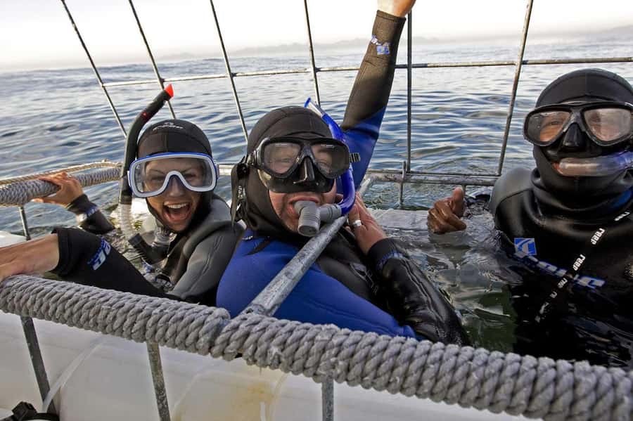 From Cape Town: Gans Bay Shark Cage Diving - Key points at a glance