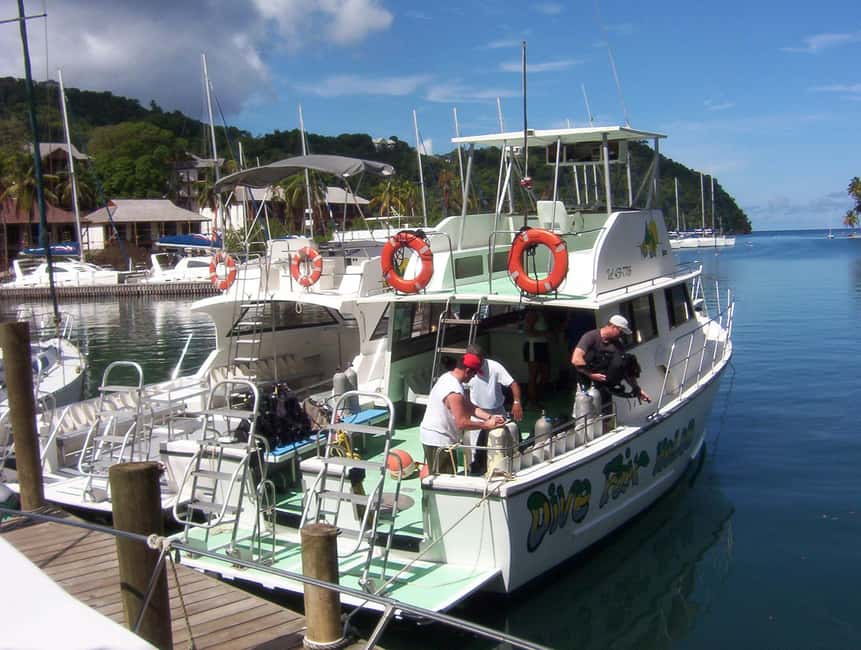 From Castries: St. Lucia Scuba Diving Excursion - Marine reserve rules and staff supervision