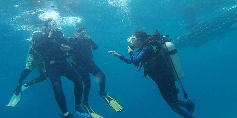 From Cebu City: Scuba Diving with Whale Sharks Trip in Oslob - What the 30 to 40 minutes in the water feels like